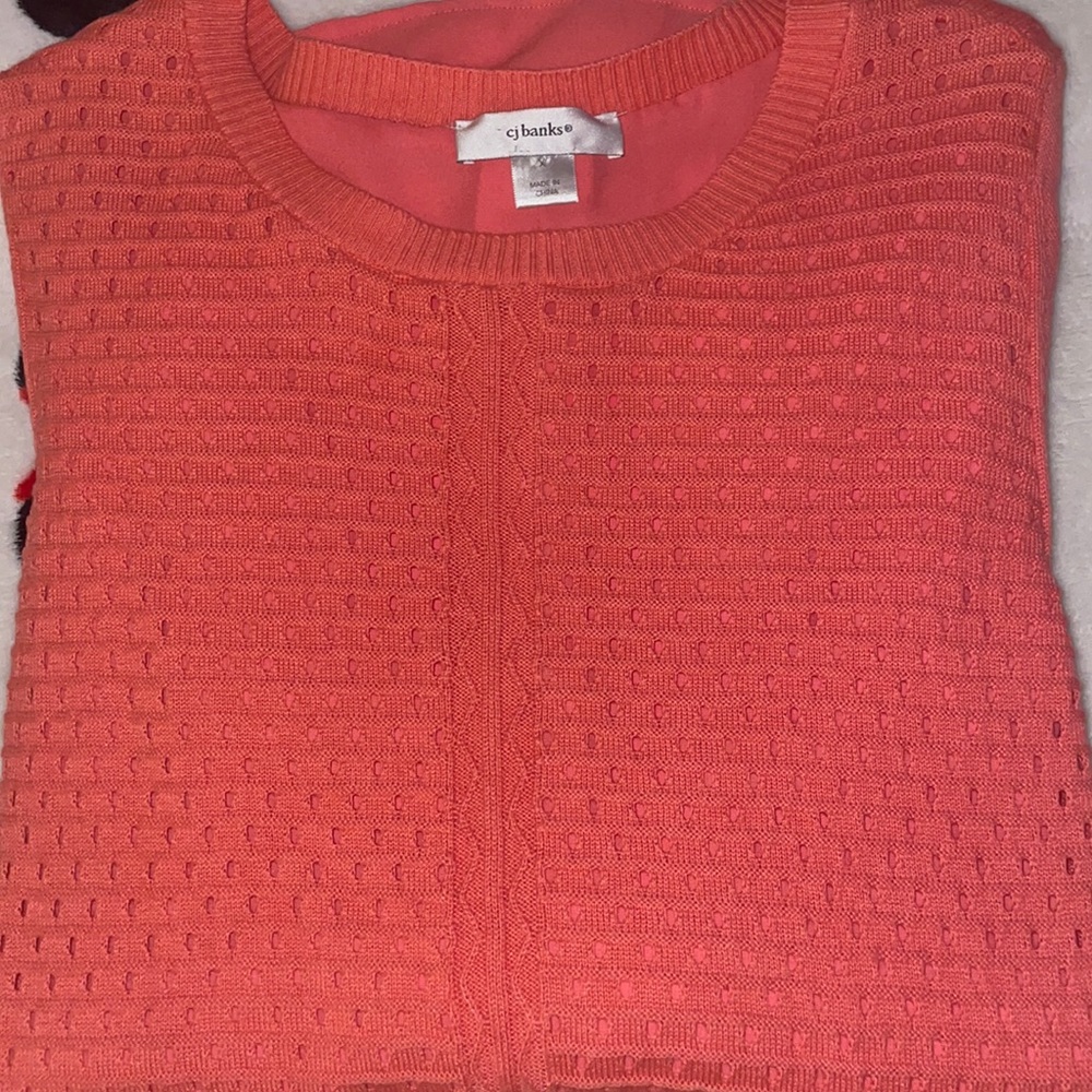 CJ Banks Sweater - GUC - Size XL